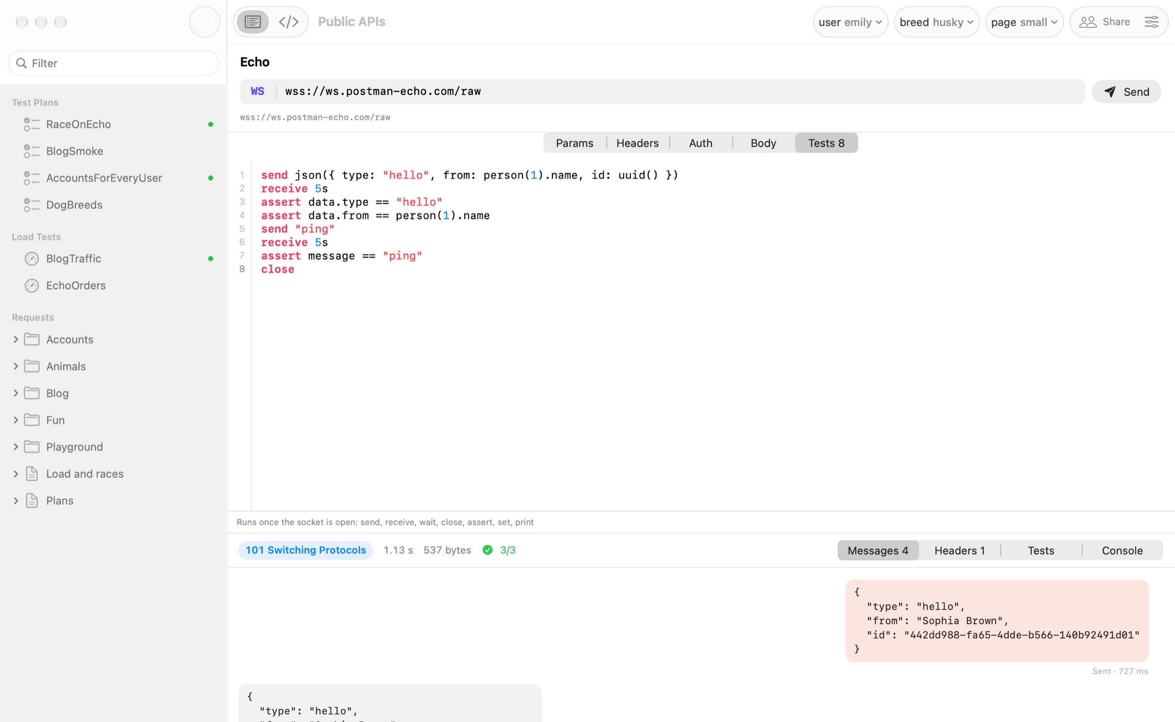 A WebSocket request: its script, and the conversation shown as sent and received messages